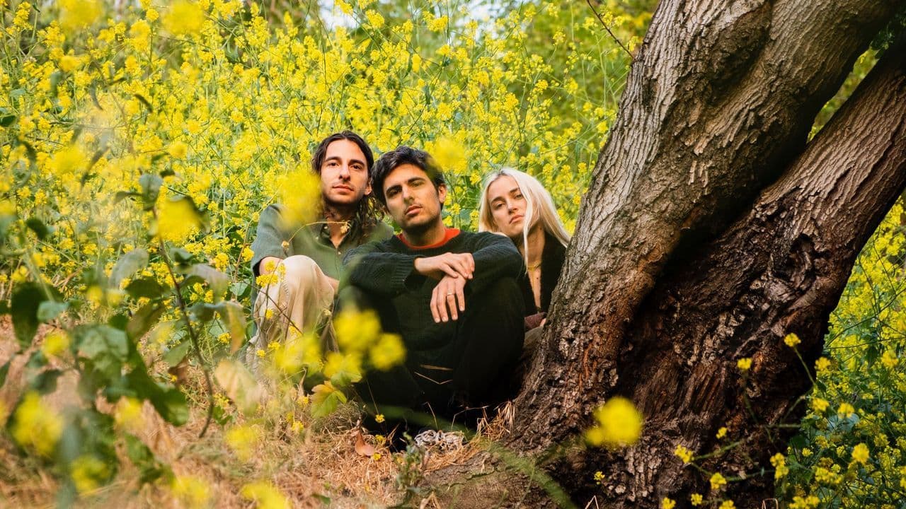 "The Joy Keeps Me Healthy" A Conversation With Peel Dream Magazine